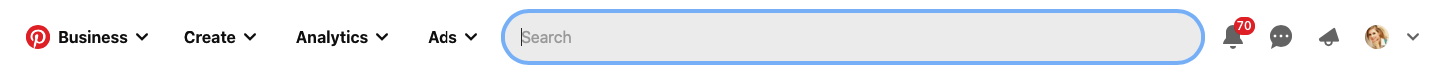 Pinterest search bar